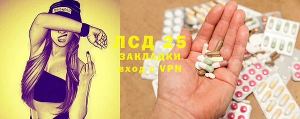 эйфоретик Пересвет