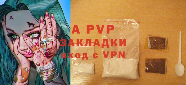 стафф Алексин