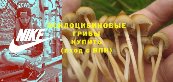 таблы Алексеевка