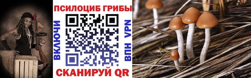 сколько стоит  Лосино-Петровский  Галлюциногенные грибы прущие грибы 